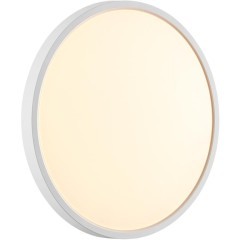 Настенно-потолочный светильник СОНЕКС Sonex ALFA WHITE 7659/24L