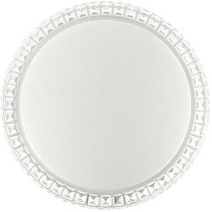 Светодиодный настенно-потолочный светильник с пультом Brisa 2036/DL