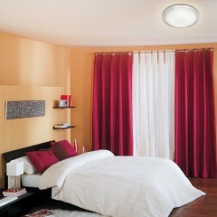 Светодиодный настенно-потолочный светильник с пультом Brisa 2036/DL