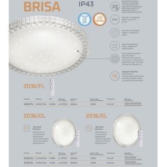 Светодиодный настенно-потолочный светильник с пультом Brisa 2036/DL