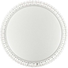 Светодиодный настенно-потолочный светильник с пультом Brisa 2036/DL