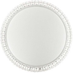 Светодиодный настенно-потолочный светильник с пультом Brisa 2036/DL