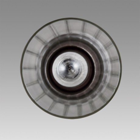 Подвес Е14 Lumion ISHA 8102/1A