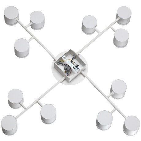 Люстра потолочная GX53 Lumion GARETA 8235/12C