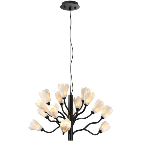 Люстра G4 Odeon Light GARDI 5090/15