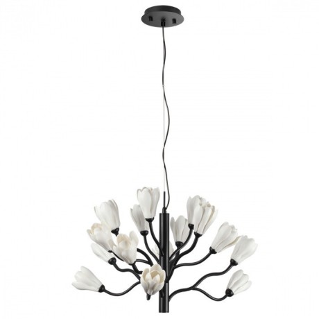 Люстра G4 Odeon Light GARDI 5090/15