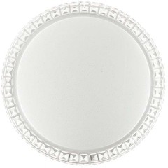 Светодиодный настенно-потолочный светильник с пультом Brisa 2036/EL