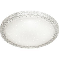 Светодиодный настенно-потолочный светильник с пультом Brisa 2036/EL