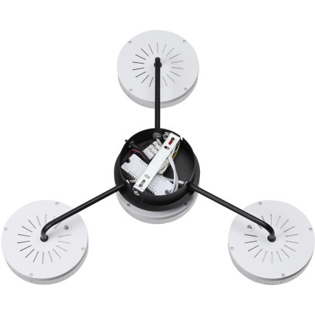 Люстра потолочная с пультом ДУ LED 55W 3000-6000К Lumion DIDANA 8236/4CL