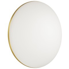 Настенно-потолочный светильник светодиодный для ванной с пультом и управлением смартфоном регулировкой цветовой температуры и яркости ночным режимом Lassa 3043/DL IP43