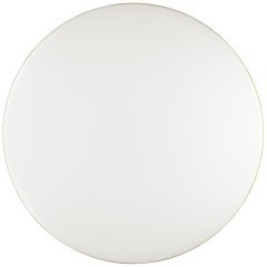 Настенно-потолочный светильник светодиодный для ванной с пультом и управлением смартфоном регулировкой цветовой температуры и яркости ночным режимом Lassa 3043/DL IP43