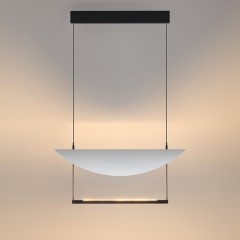 Подвесной светильник поворотный 360° LED 20W Odeon Light GLIDER 7015/20L