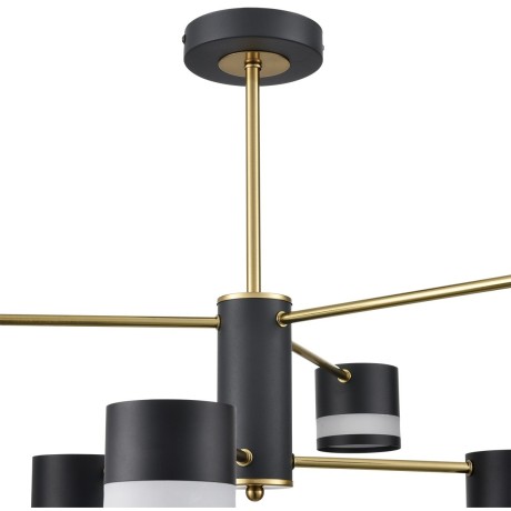 Люстра потолочная GX53 Lumion LANIKA 8240/6C