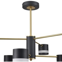 Люстра потолочная GX53 Lumion LANIKA 8240/6C