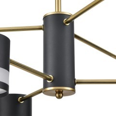 Люстра потолочная GX53 Lumion LANIKA 8240/6C