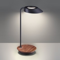 Светильник ландшафтный переносной IP54 LED 2W 3000mAh Li-ion 3.7V 4000K 170Лм Novotech ELEGANCE 359407