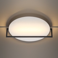 Настенно-потолочный светильник LED поворотный 360° Odeon Light LUNAR 7015/20WL