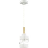 Подвесной светильник с 1 плафоном Lumion 4491/1 BONNIE под лампу 1xE27 60W