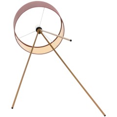 Торшер E27 220V Lumion AVIOLA 8076/1F