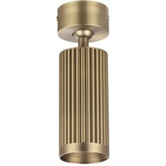 Потолочный светильник поворотный на 360° Odeon Light MANCHESTER 7013/1C