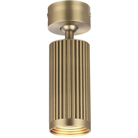 Потолочный светильник поворотный на 360° Odeon Light MANCHESTER 7013/1C