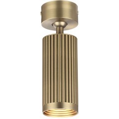 Потолочный светильник поворотный на 360° Odeon Light MANCHESTER 7013/1C