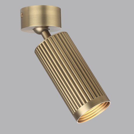 Потолочный светильник поворотный на 360° Odeon Light MANCHESTER 7013/1C