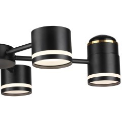 Люстра потолочная GX53 + LED-проектор 3х5W 2700К Lumion VIRSAVA 8234/6C