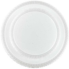 Светодиодный настенно-потолочный светильник с пультом Floors 2041/DL