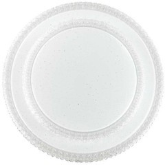 Светодиодный настенно-потолочный светильник с пультом Floors 2041/DL