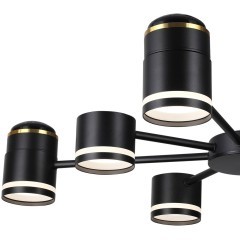 Люстра потолочная GX53 + LED-проектор 4х5W 2700К Lumion VIRSAVA 8234/8C