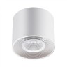 Накладной потолочный светильник Novotech 358791 BIND светодиодный LED 15W