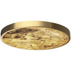 Настенно-потолочный светильник ODEON LIGHT BERGI 5079/50L