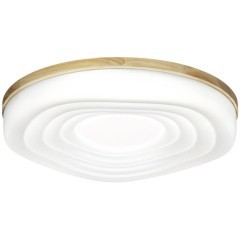 Настенно-потолочный светильник СОНЕКС Sonex FASS WOOD 7674/EL