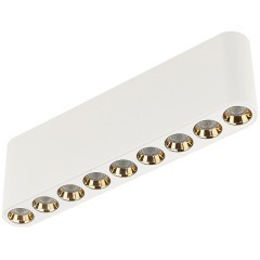 Потолочный светильник LED 3000K Odeon Light SMALL 7091/21CL