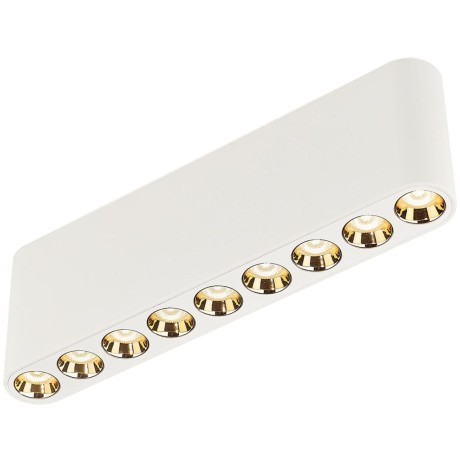 Потолочный светильник LED 3000K Odeon Light SMALL 7091/21CL