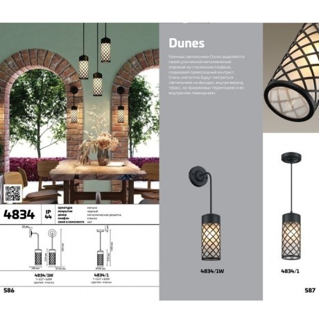 Уличный настенный светильник Odeon Light 4834/1W DUNES IP44 под лампу 1xE27 1*60W