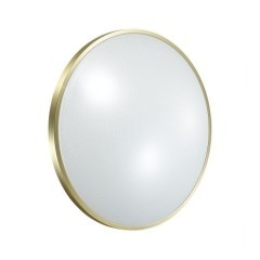 Настенно-потолочный светильник Sonex 2089/DL LOTA BRONZE IP43 светодиодный LED 48W