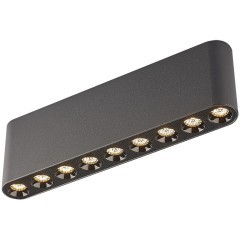 Потолочный светильник LED 3000K Odeon Light SMALL 7092/21CL