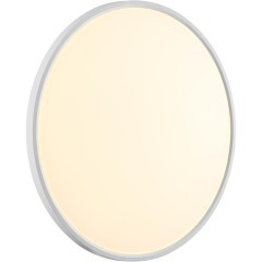 Настенно-потолочный светильник СОНЕКС Sonex ALFA WHITE 7659/48L