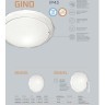 Светодиодный настенно-потолочный светильник с пультом Gino 2045/EL