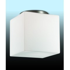 Потолочный светильник влагозащищенный Cross 2407/1C