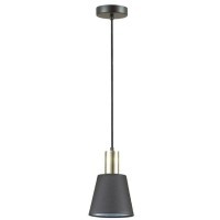 Подвесной светильник с 1 плафоном Lumion 3638/1 MARCUS под лампу 1xE14 60W
