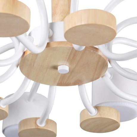 Потолочный светильник GX53 220V Lumion RONDO 8196/10C