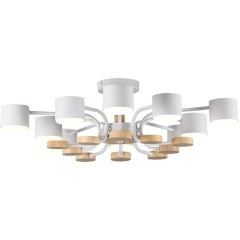 Потолочный светильник GX53 220V Lumion RONDO 8196/10C