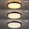 Novotech VIRTUO STREET 359721 Уличный круглый потолочный LED-светильник, 30Вт, 2600Лм, CCT перекл. цветовой температуры внутри корпуса 2700/3200/4000К, CRI90, 220-240В, IP65, черный алюминий и белый пластик, диаметр 290 мм, высота 64,3 мм