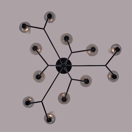 Люстра потолочная E14 Lumion MADONNA 6555/12C