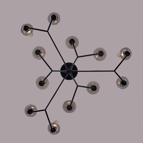 Люстра потолочная E14 Lumion MADONNA 6555/12C