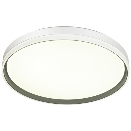 Настенно-потолочный светильник Sonex 7631/DL SAVI IP43 светодиодный LED 48W