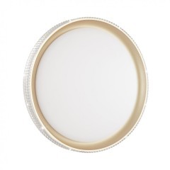 Настенно-потолочный светильник светодиодный для ванной с пультом регулировкой цветовой температуры и яркости ночным режимомShiny 3054/DL IP43